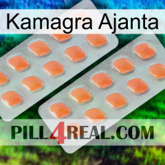 Kamagra Ajanta 27
